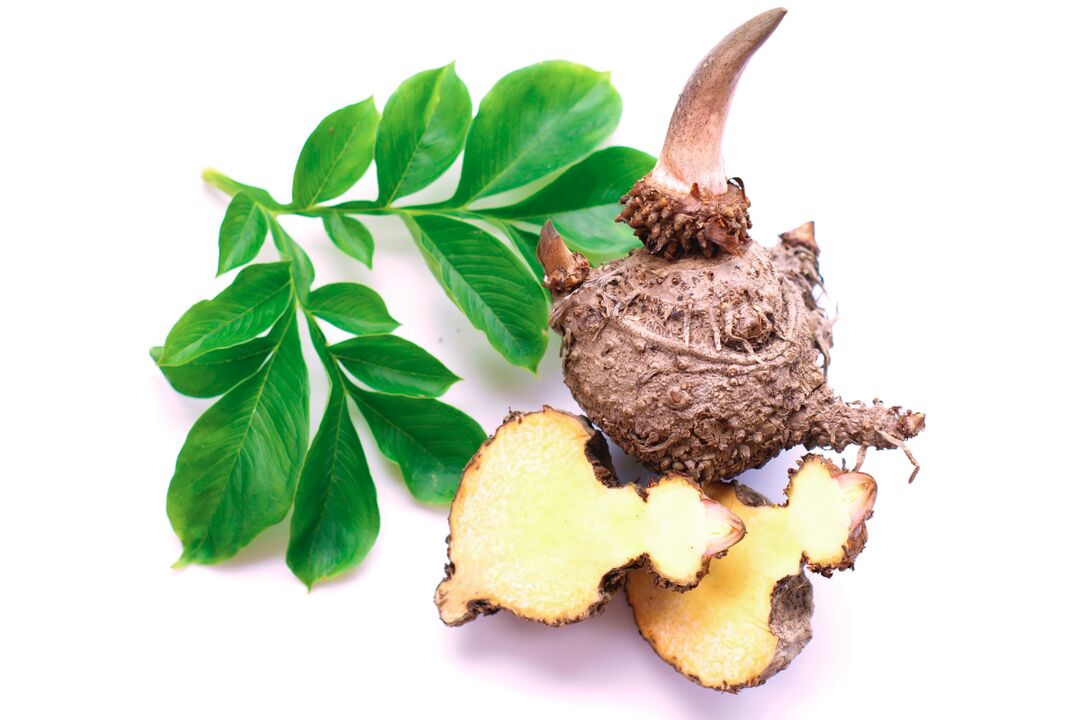 Konjac plant tubers - composition Reduslim